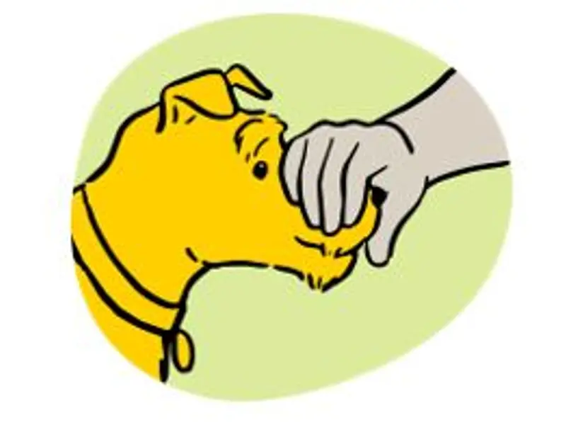 Touch their snout